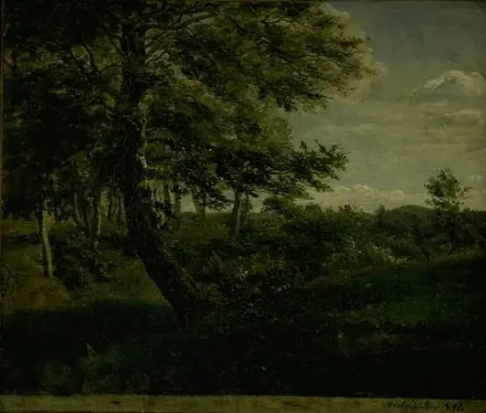 Ørsbjerg Forest at Aarup, Funen