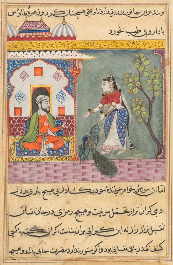 The Brahman’s wife who killed a peacock and ate its gallbladder on the physician’s advice, from a Tuti-nama (Tales of a Parrot): Nineteenth Night