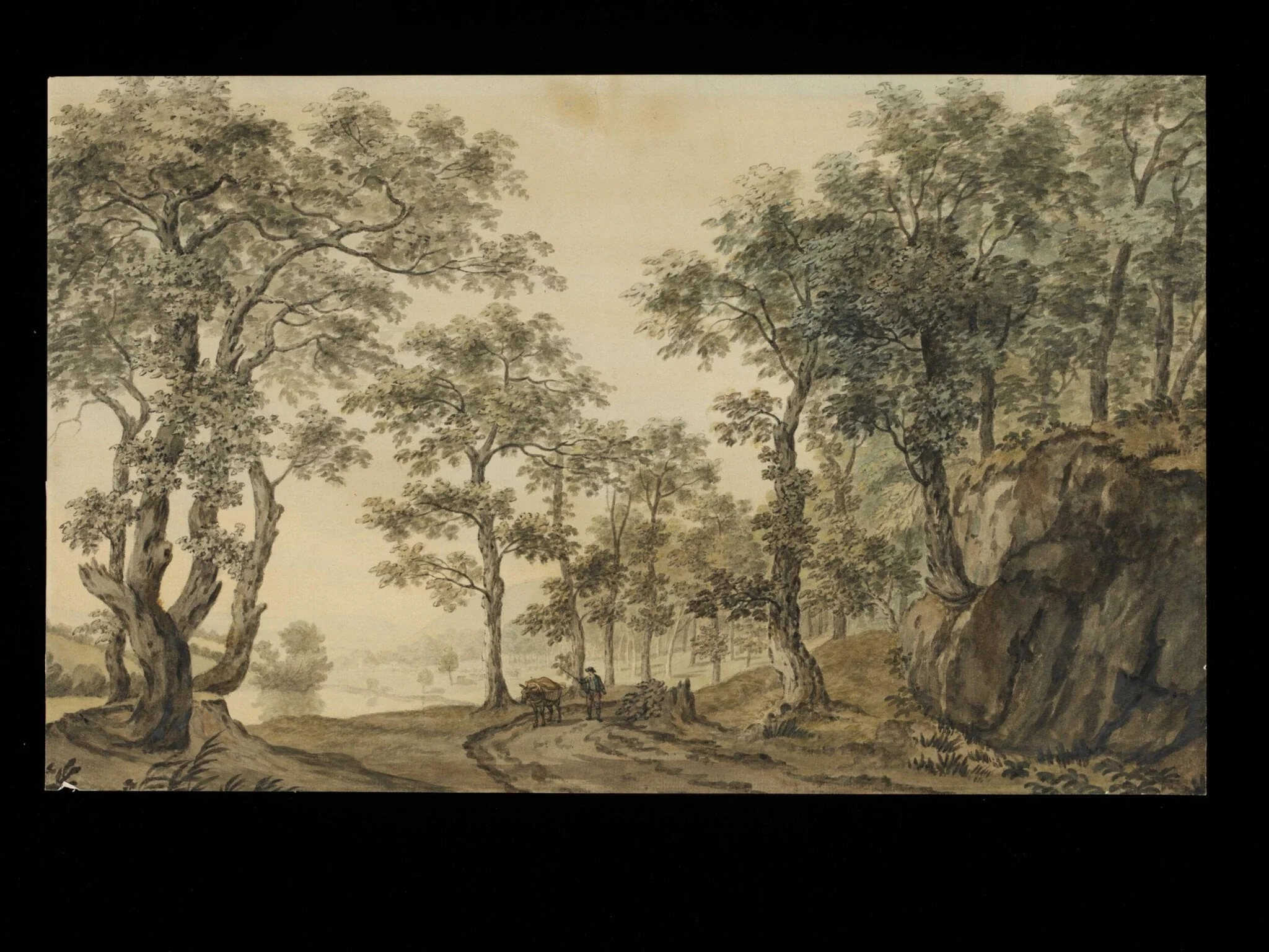 Landscape with rocks
