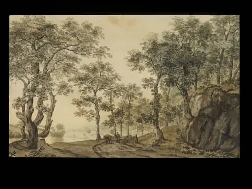 Landscape with rocks