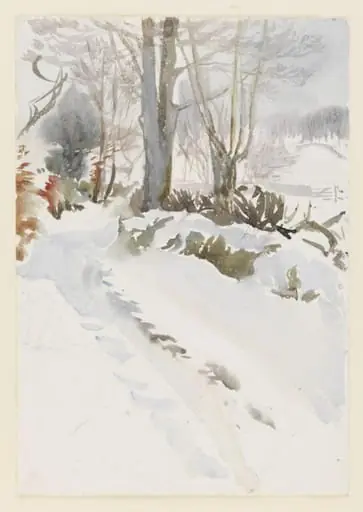 Cart track covered in snow, with fields beyond