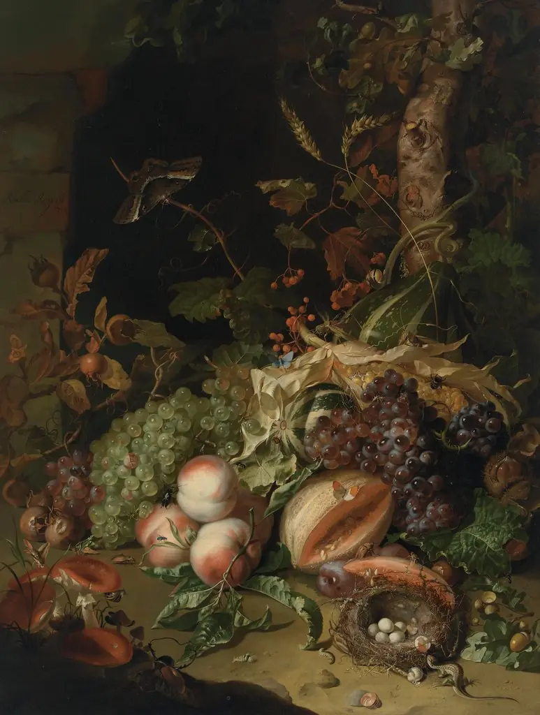 Fruit on a Forest Floor
