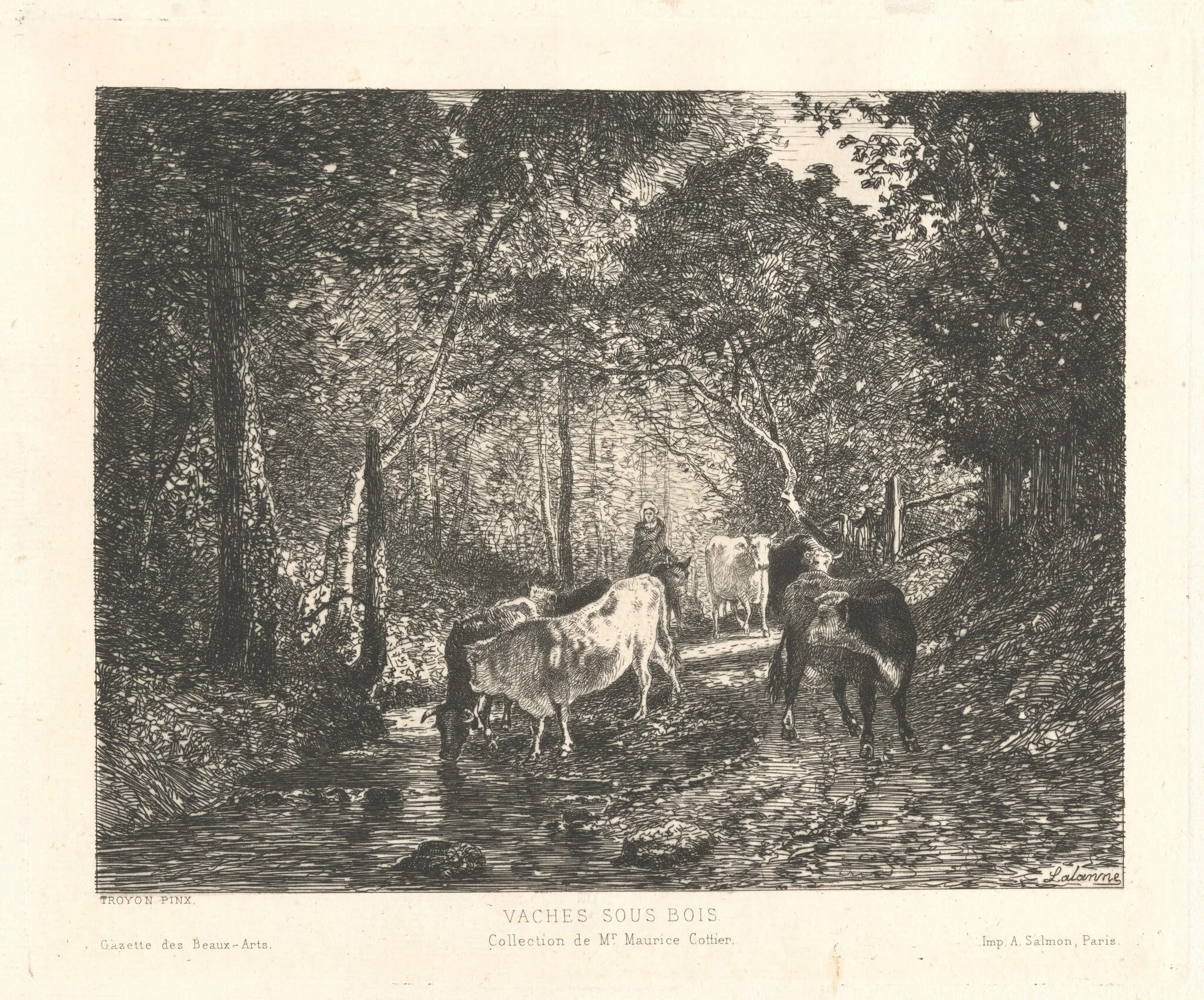 Vaches sous Bois (Cattle in the Forest), by Maxime Lalanne, ink, 1872