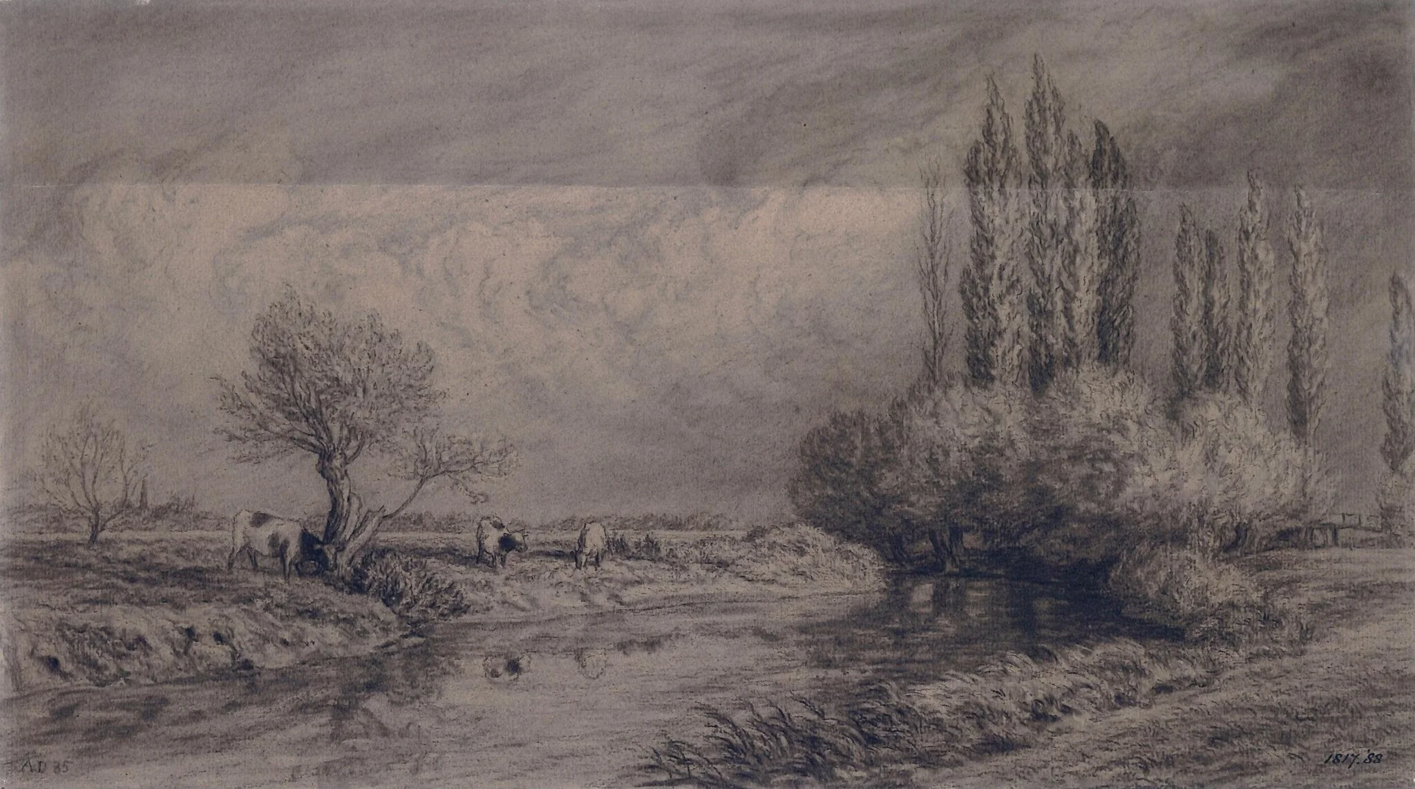 Landscape with river and cattle