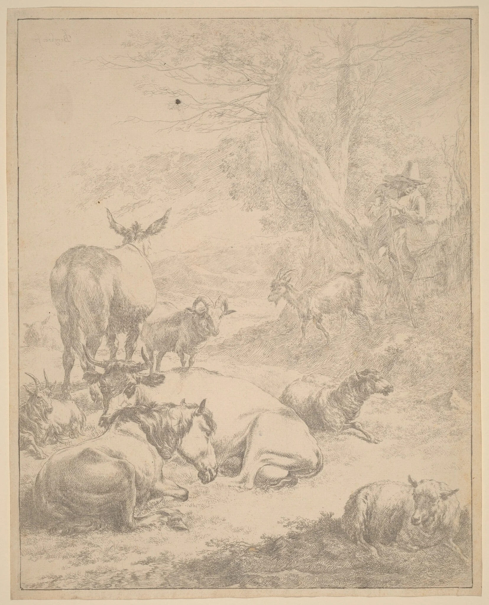Resting Herd