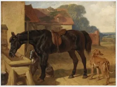 A Horse Drinking