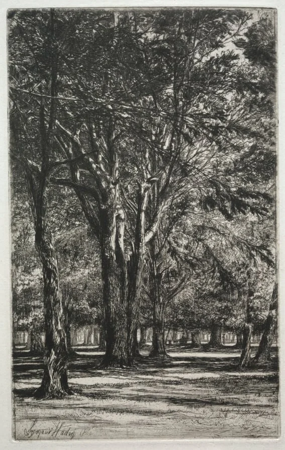 Kensington Gardens (The Large Plate), by Francis Seymour Haden, 1860