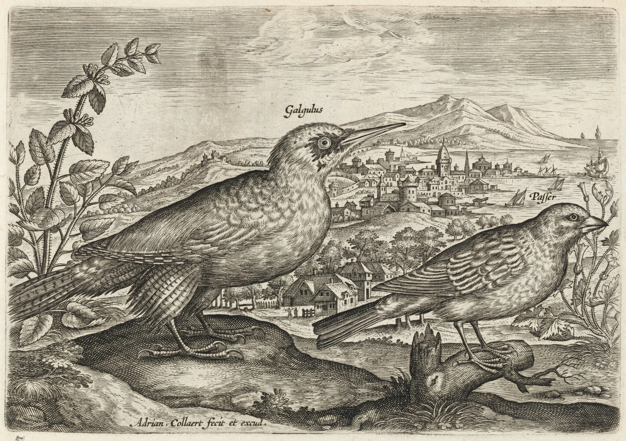 Woodpecker and Bunting