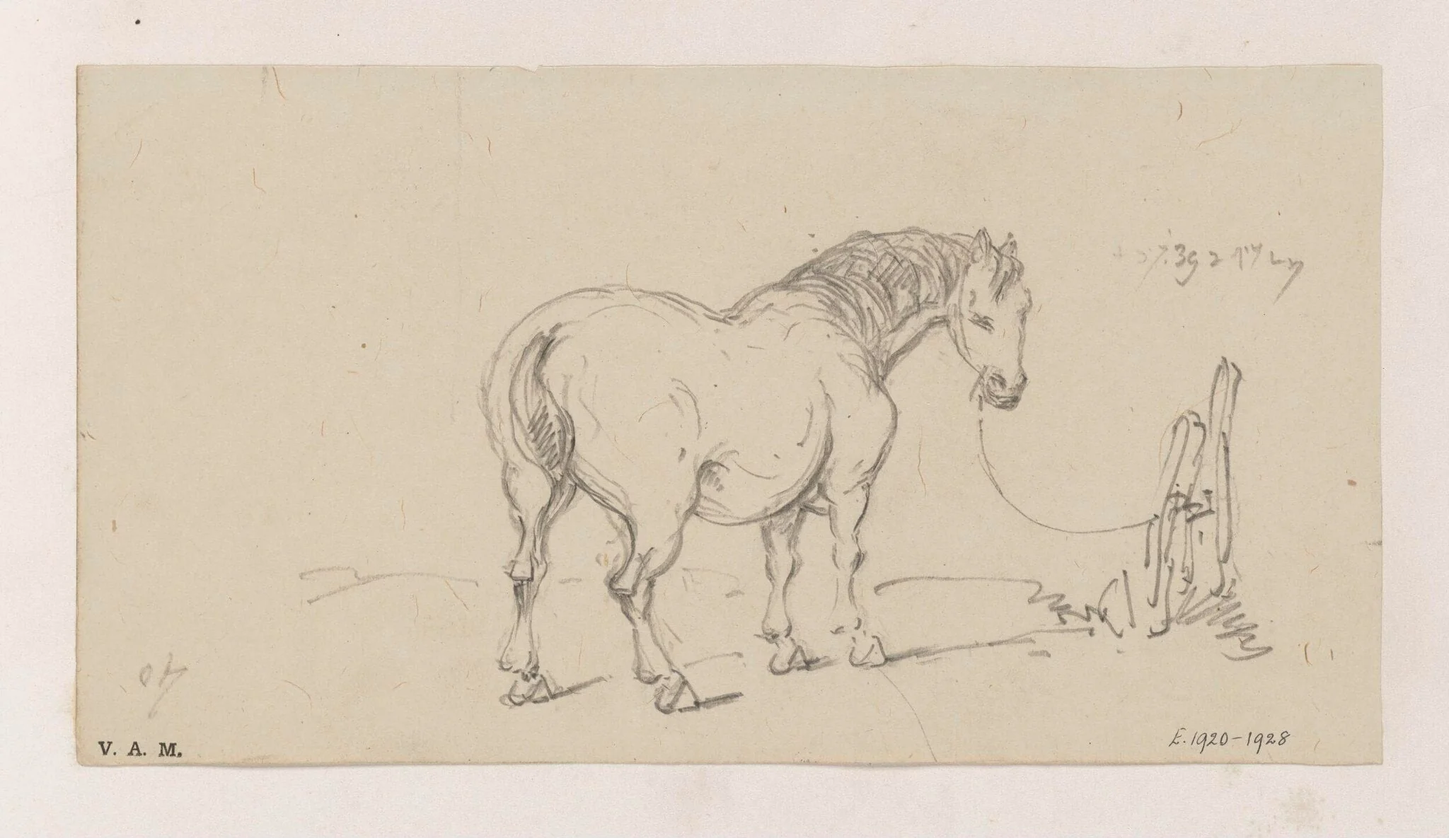 Mr Beale's horse, by George Chinnery, 6