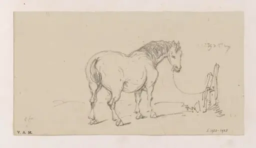 Mr Beale's horse