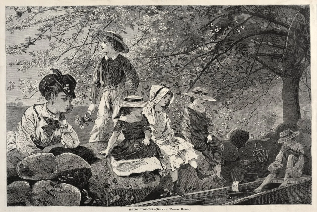 Spring Blossoms