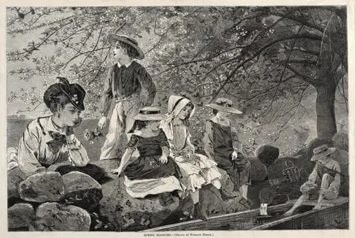 Spring Blossoms