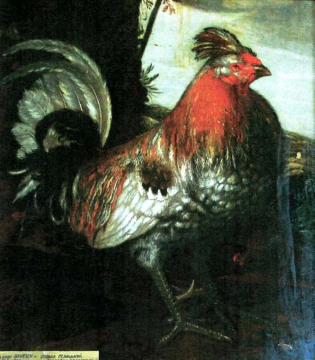Parabola cocoșului, by Melchior d' Hondecoeter, unspecified, 1650