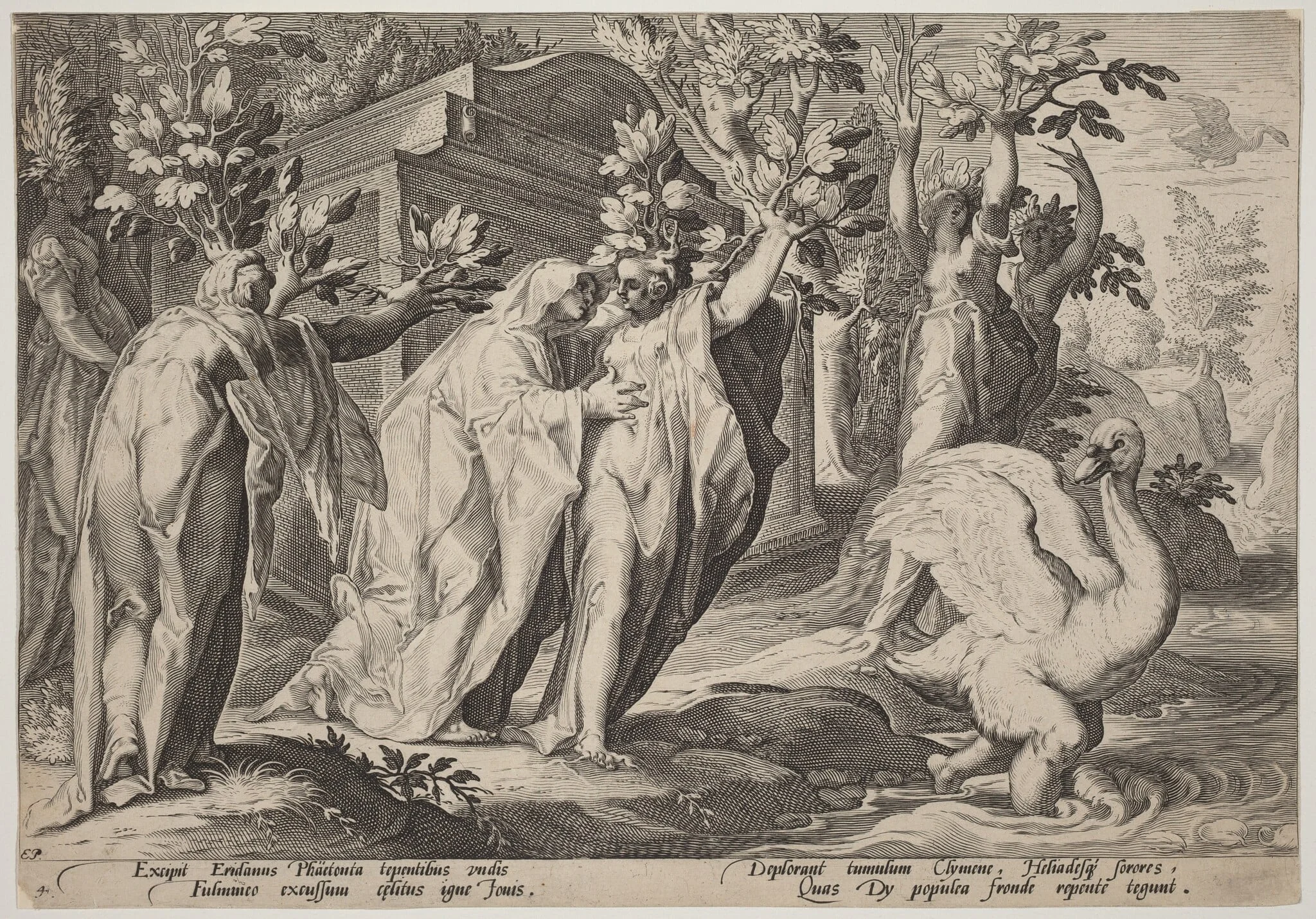 Phaeton's Sisters Changed into Poplars, and Cygnus into a Swan, by Hendrik Goltzius, ink, 1589