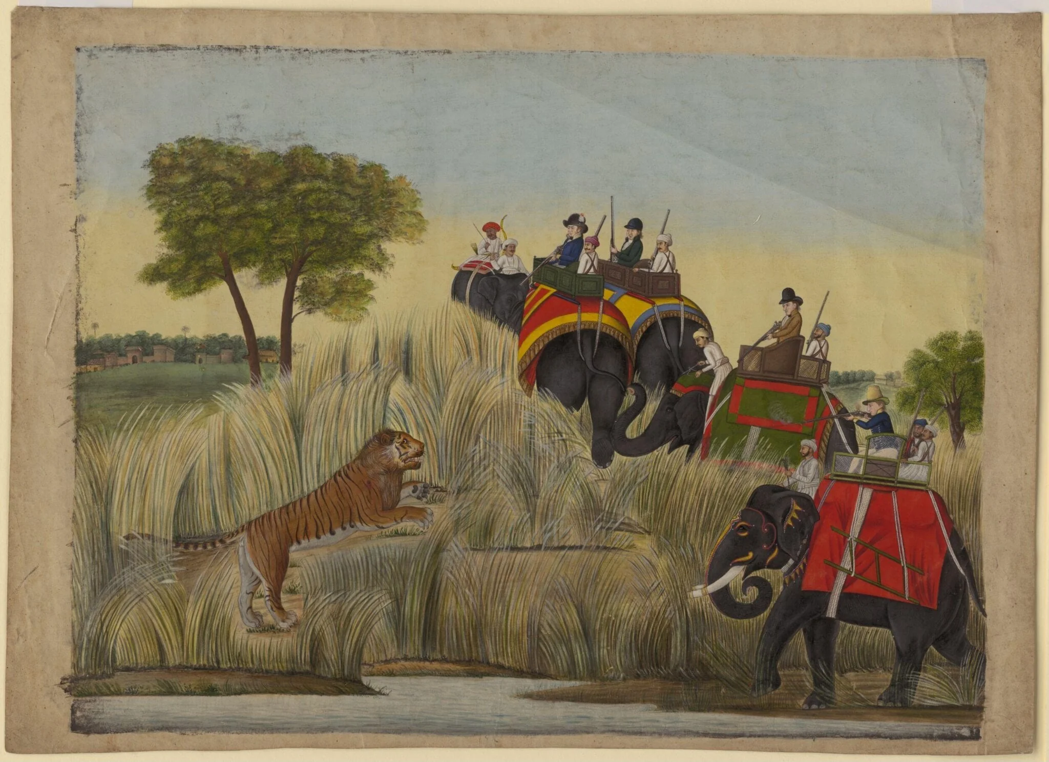 Four elephants with Europeans seated in the howdahs taking part in a tiger hunt.