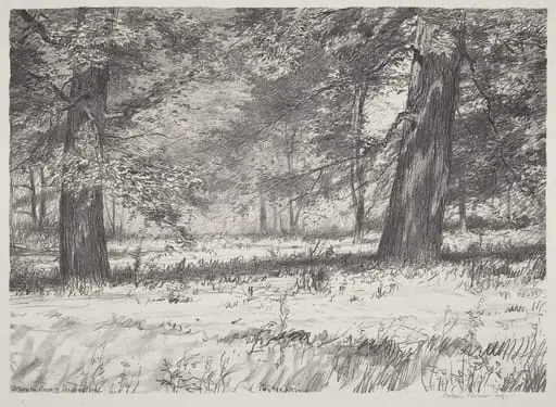 Two Maples
