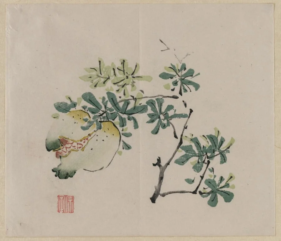Branch with Pomegranate