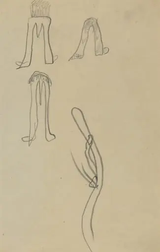 Four Fantastic Forms [recto]