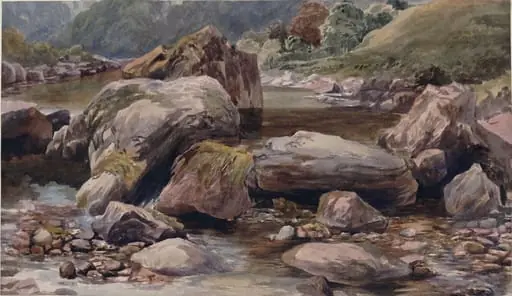 Bed of a Stream