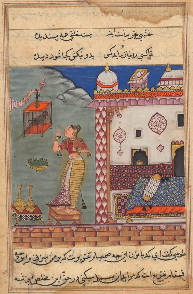 The Parrot Addresses Khujasta at the Beginning of the Twenty-seventh Night, form a Tuti-nama (Tales of a Parrot)
