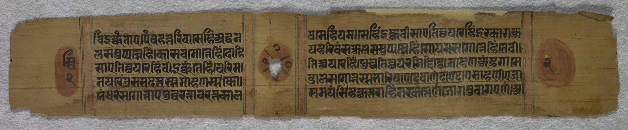 Text: Folio 2 (verso), from a Kalpa-sutra, by Unknown, unspecified, 1275