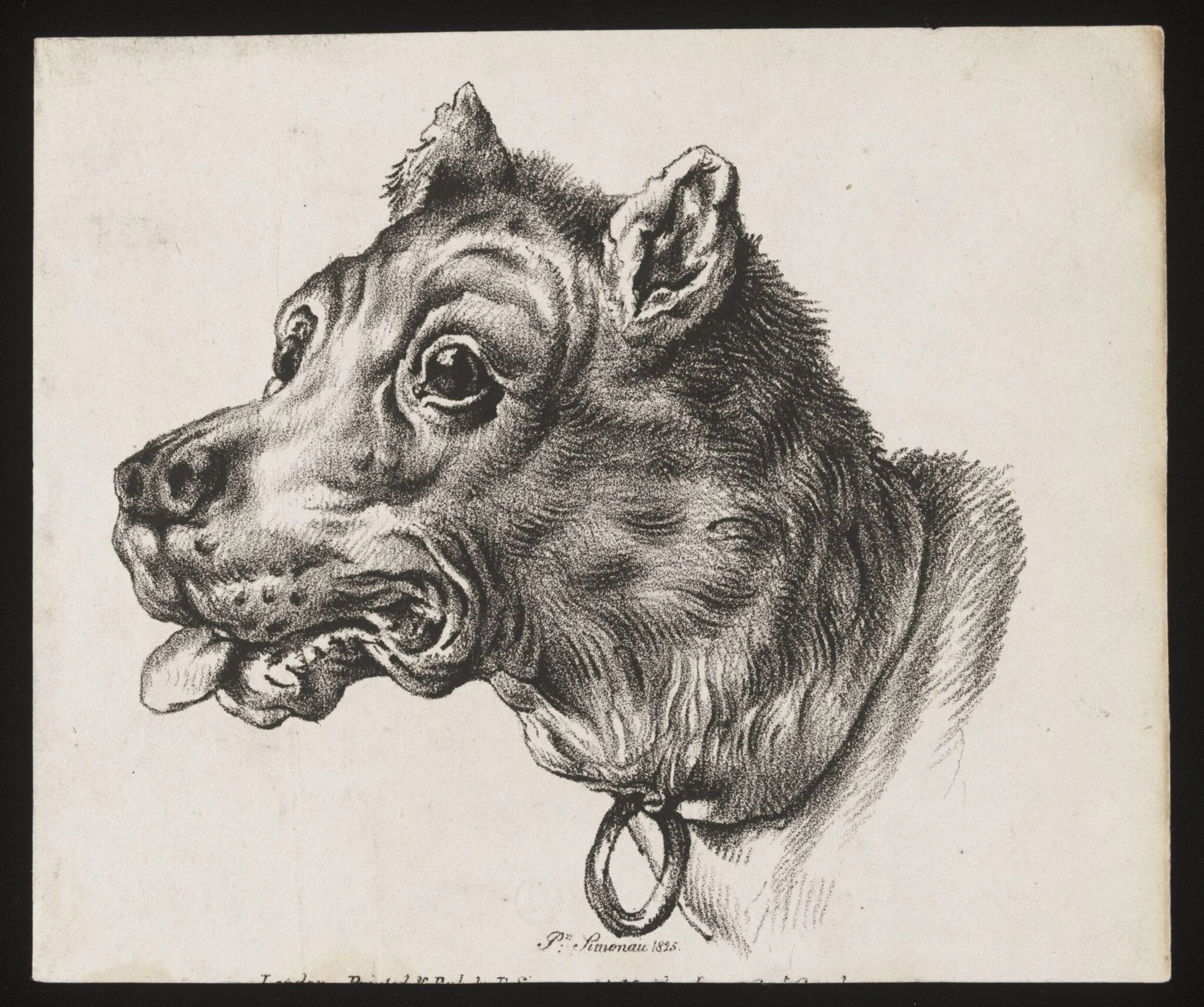 Untitled, by P. Simonau, 1825