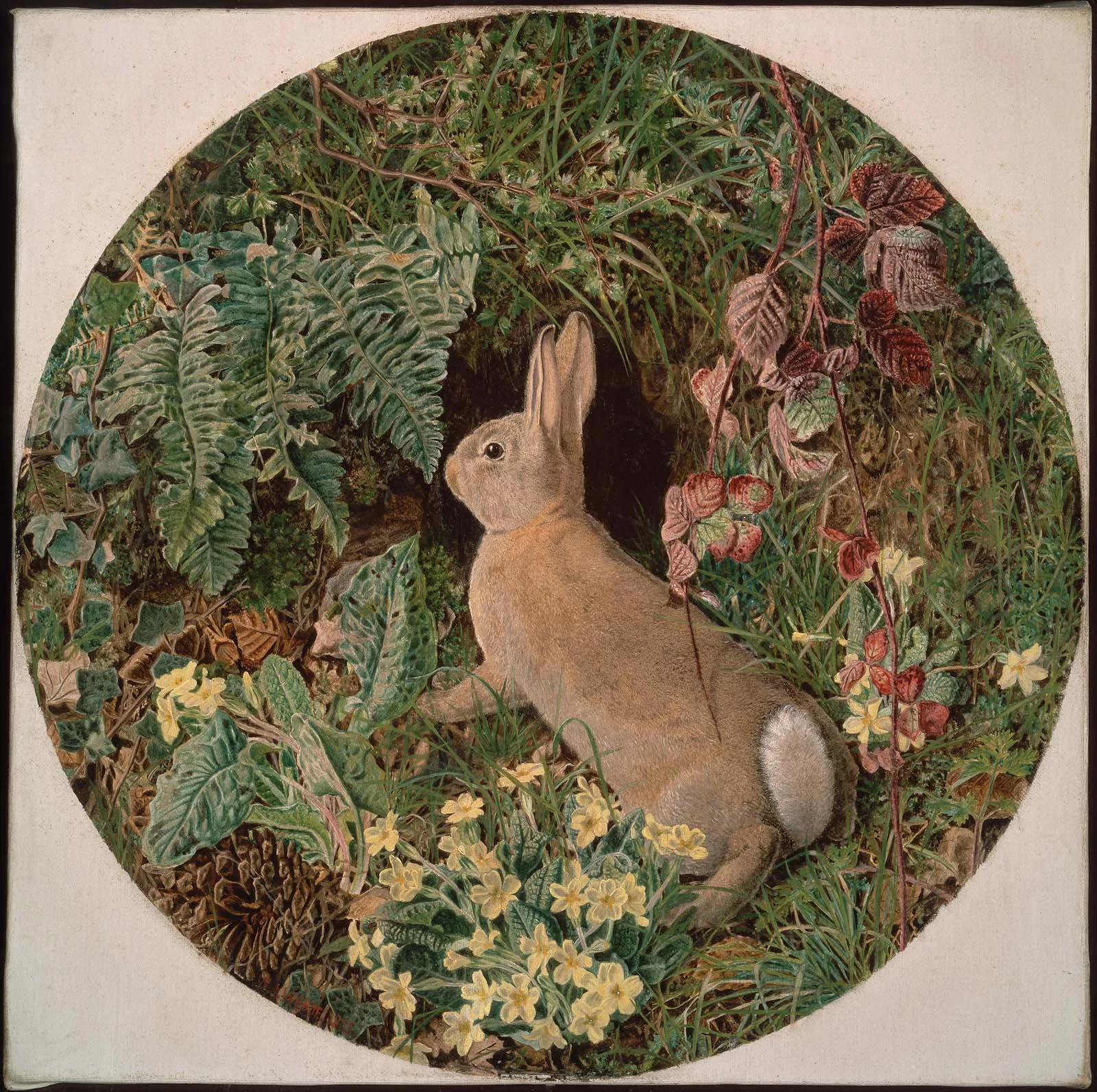 Rabbit amid Ferns and Flowering Plants