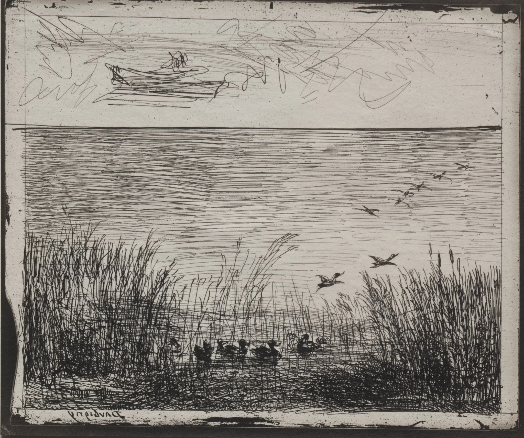 Swamp with Ducks, by Charles François Daubigny, 1862