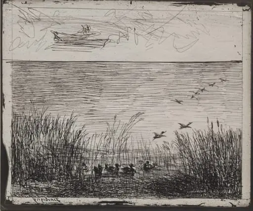 Swamp with Ducks