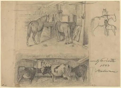 The Barn