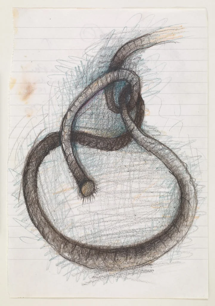 Untitled, by Elizabeth Murray, graphite, 1990