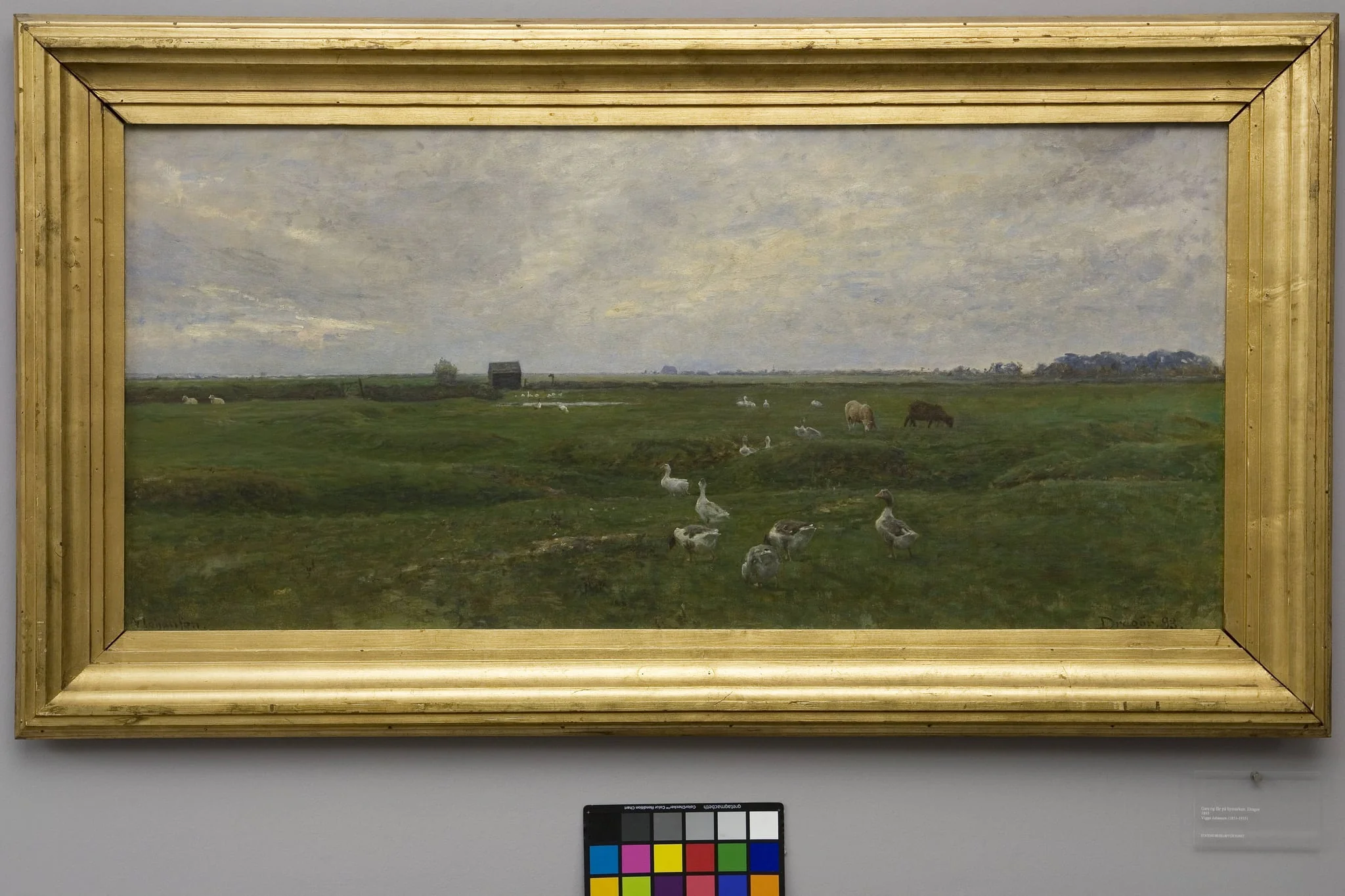 Geese by a Lake. A Storm is Brewing. Dragør, the Island of Amager