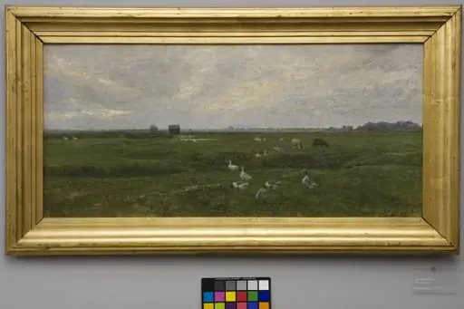 Geese by a Lake. A Storm is Brewing. Dragør, the Island of Amager