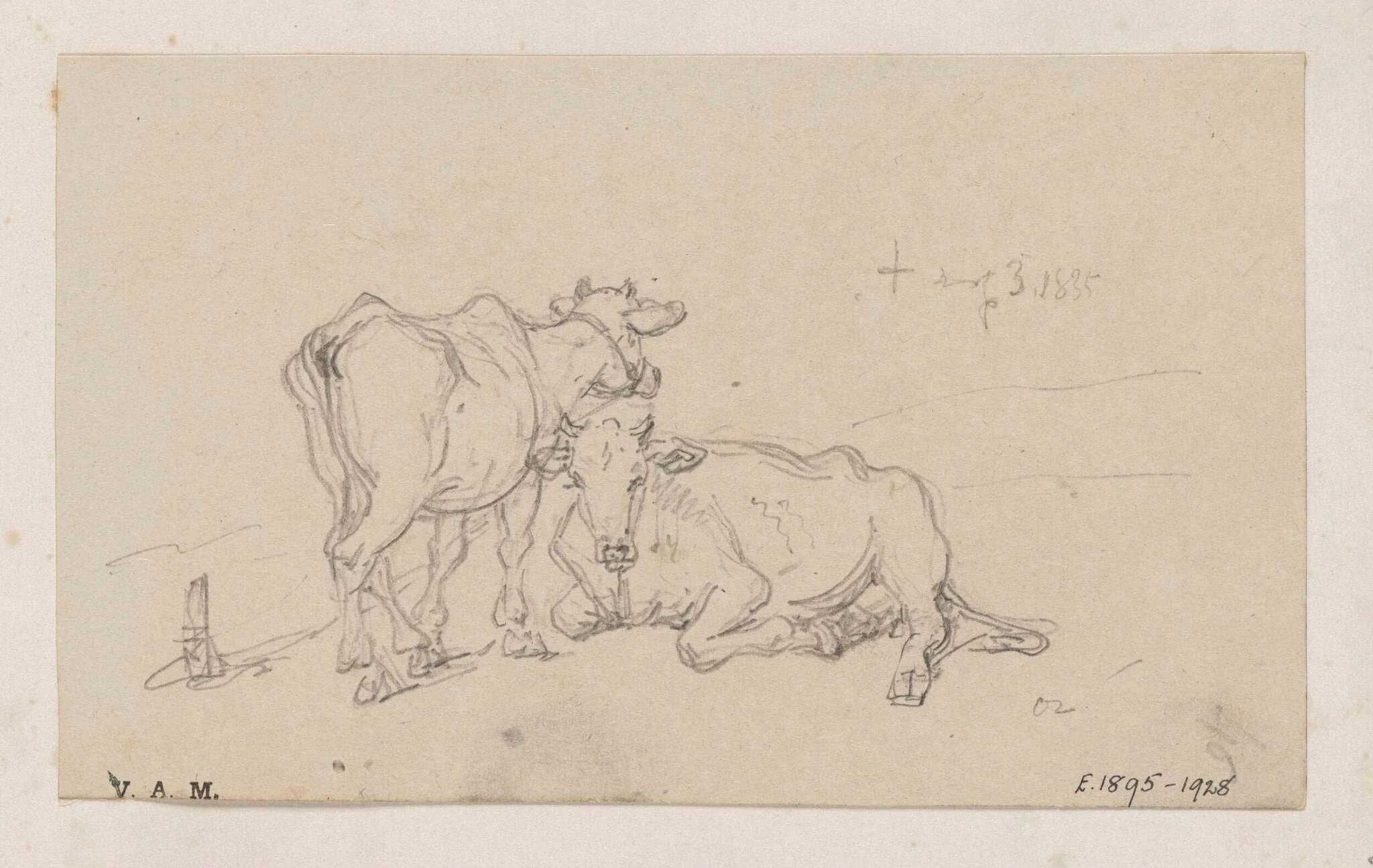 Two cows, by George Chinnery, 6