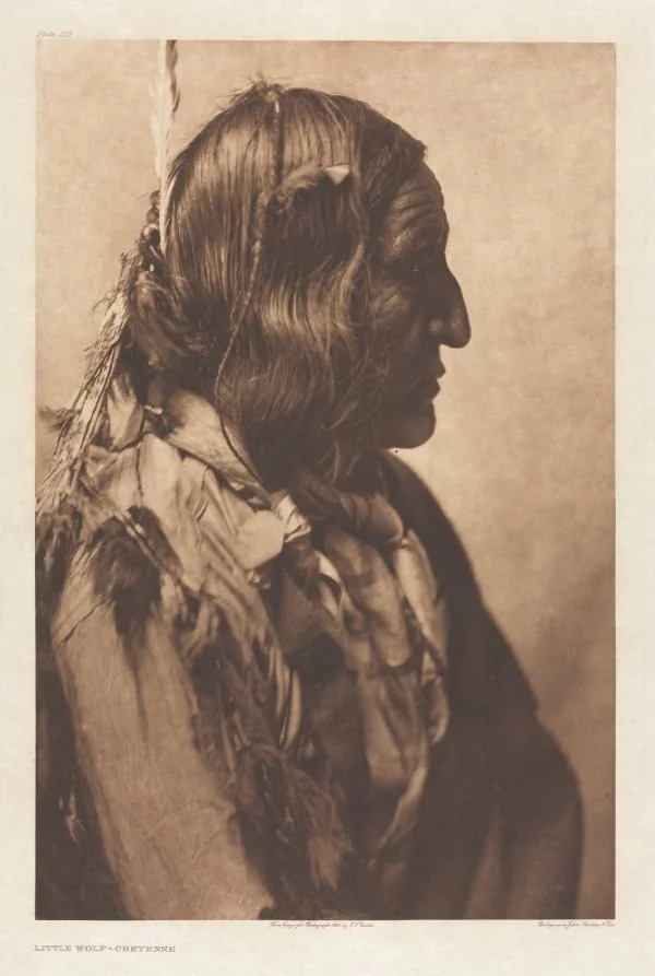 Portfolio VI, Plate 219: Little Wolf, by Edward S. Curtis, 1905