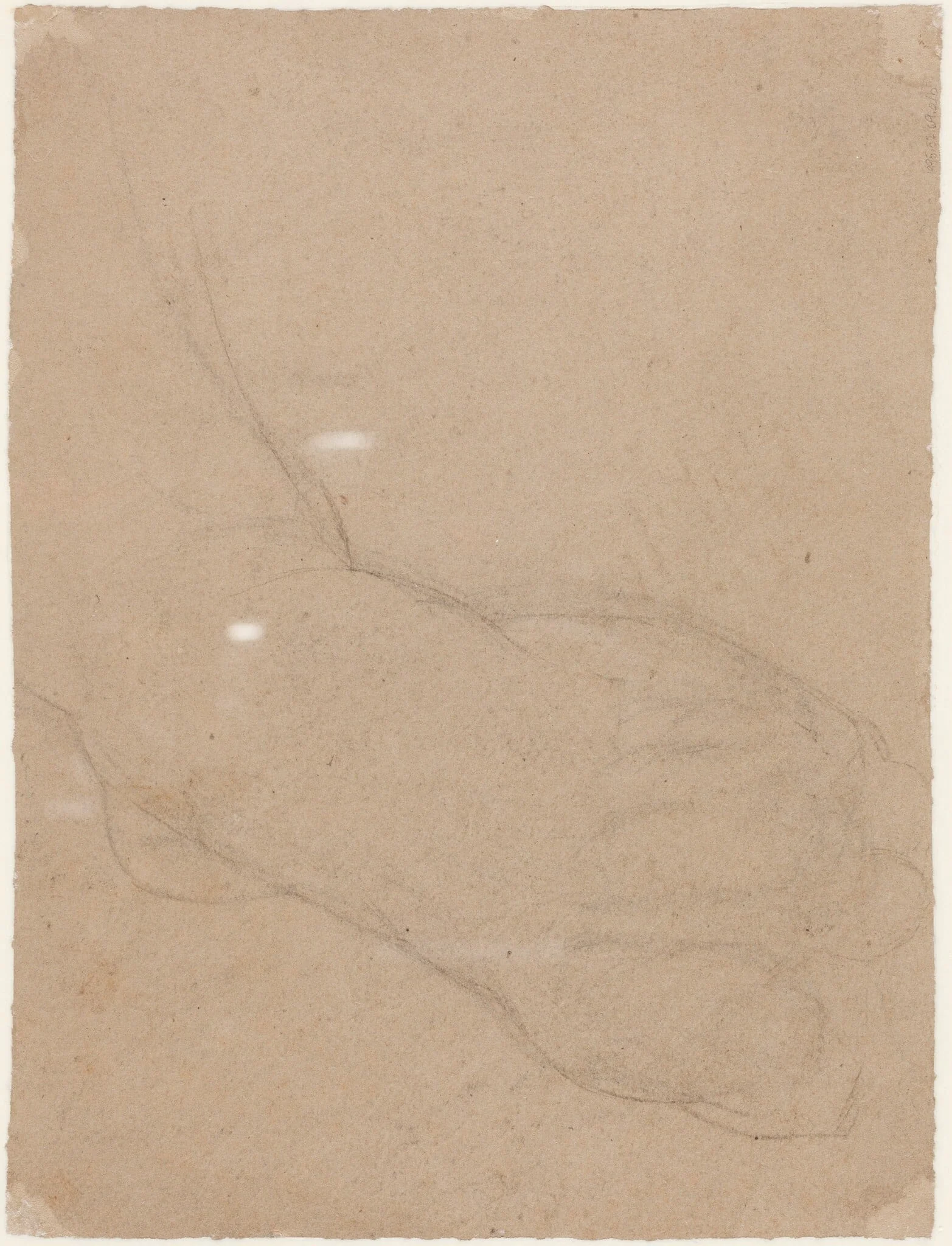 Study of a Foot [verso]