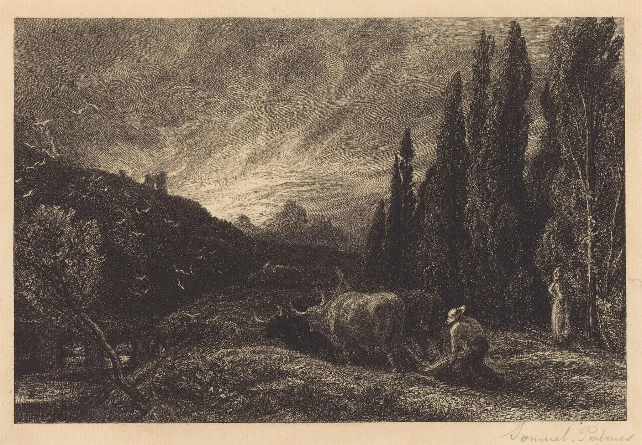The Early Ploughman