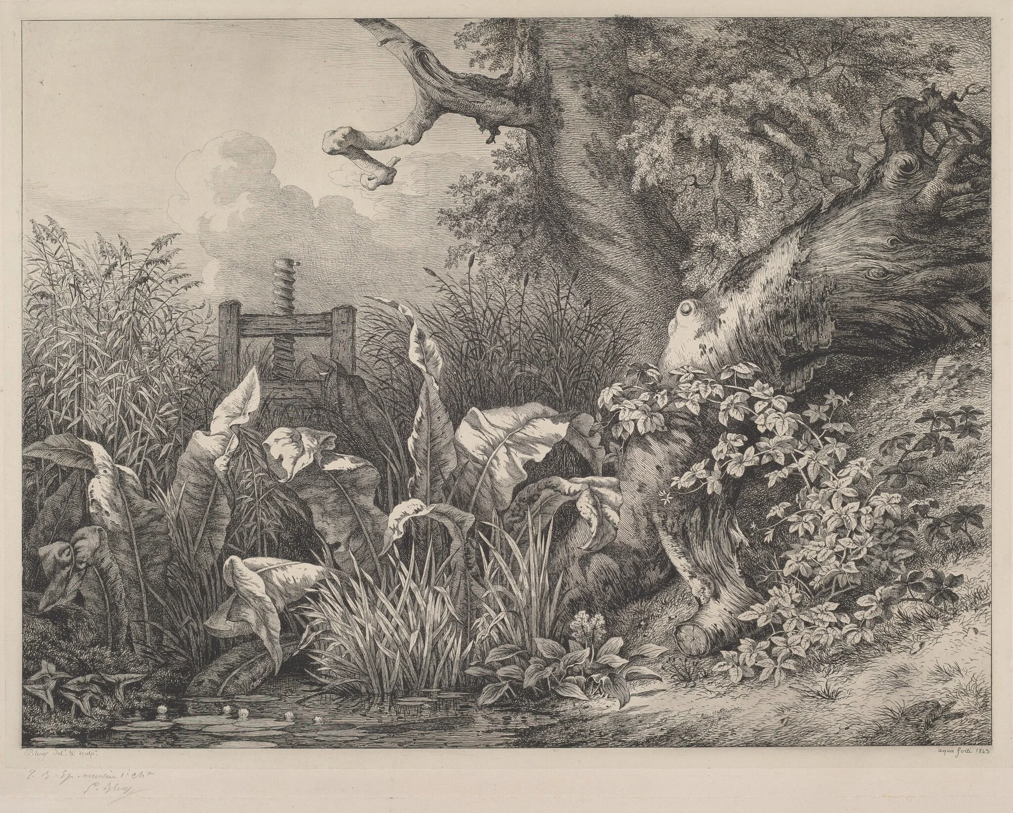 Water Dock and Brambles at a Sluice, by Eugène Bléry, ink, 1843
