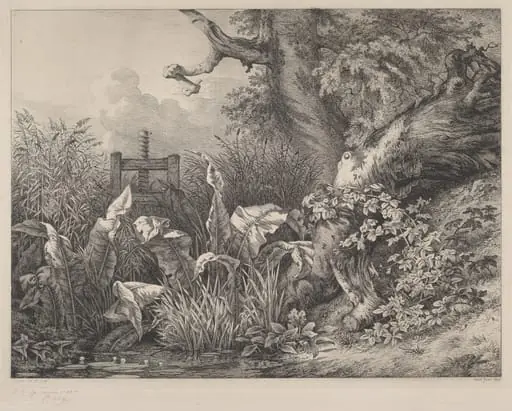 Water Dock and Brambles at a Sluice