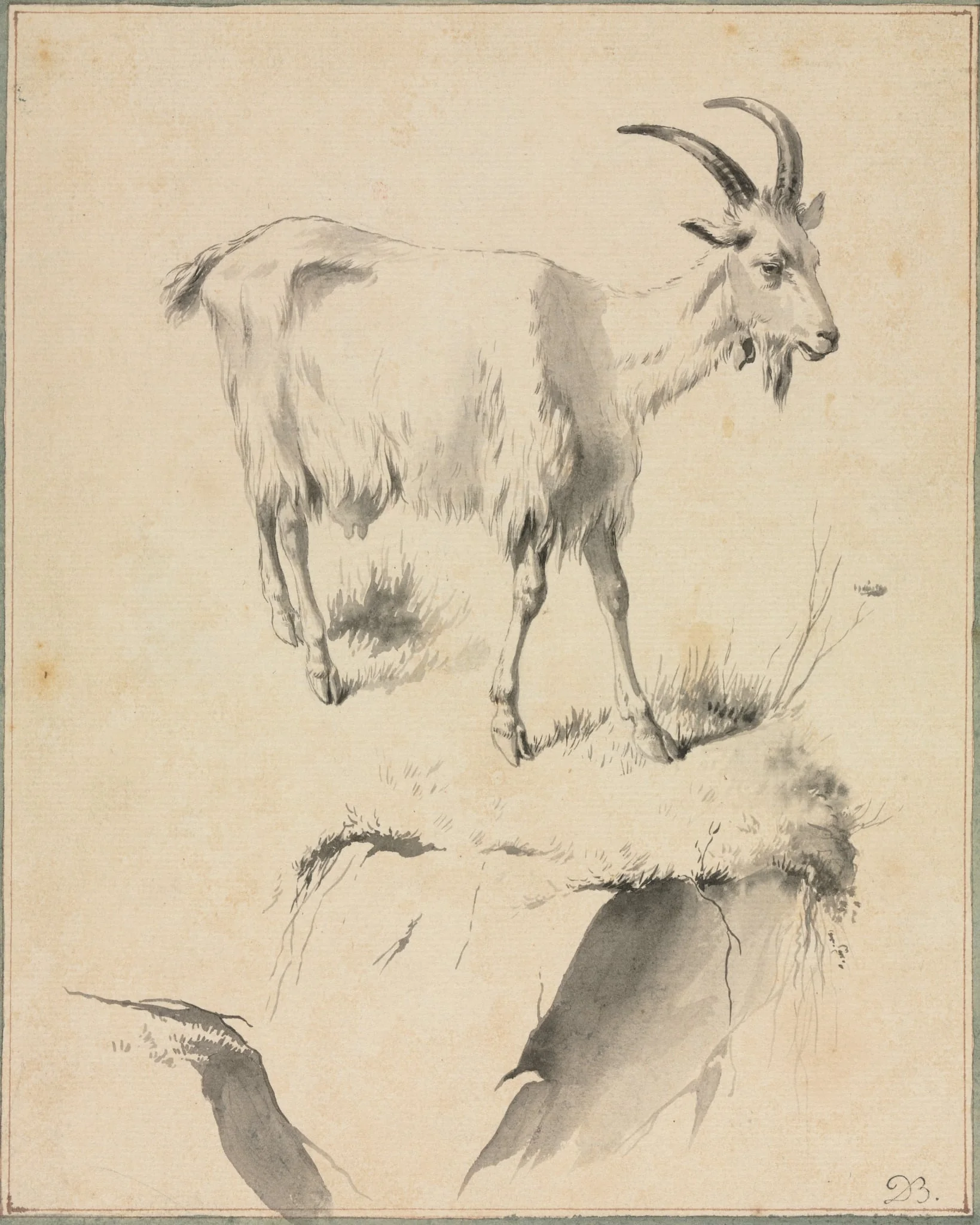 Study of a Goat, by Jean-Jacques de Boissieu, 1704
