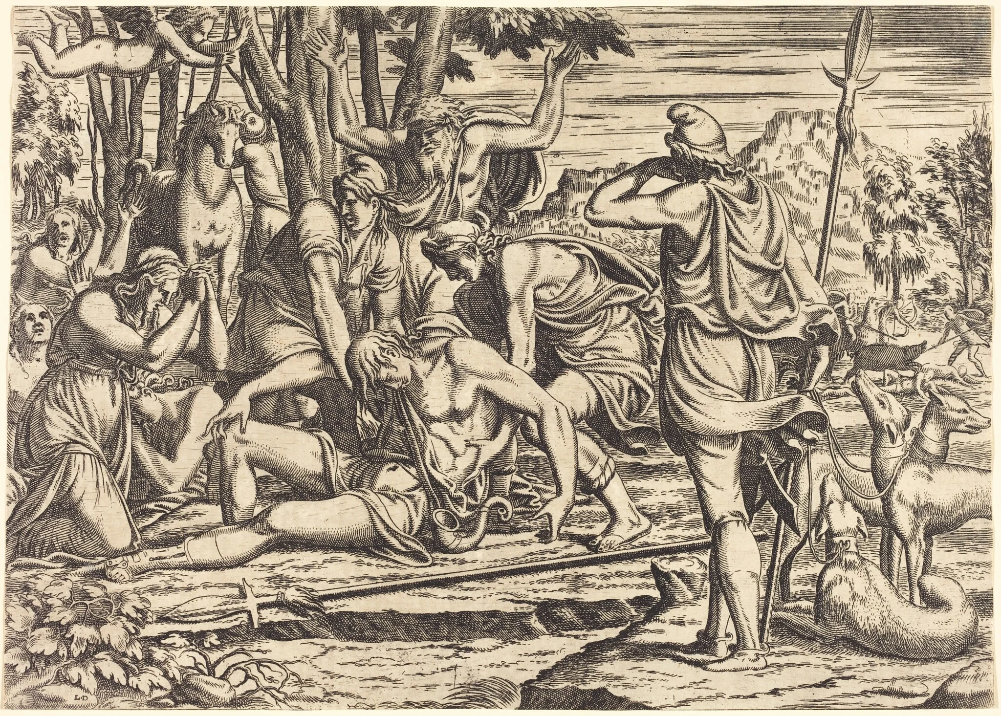 The Death of Adonis, by Léon Davent, ink, 1538