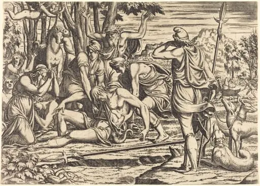 The Death of Adonis