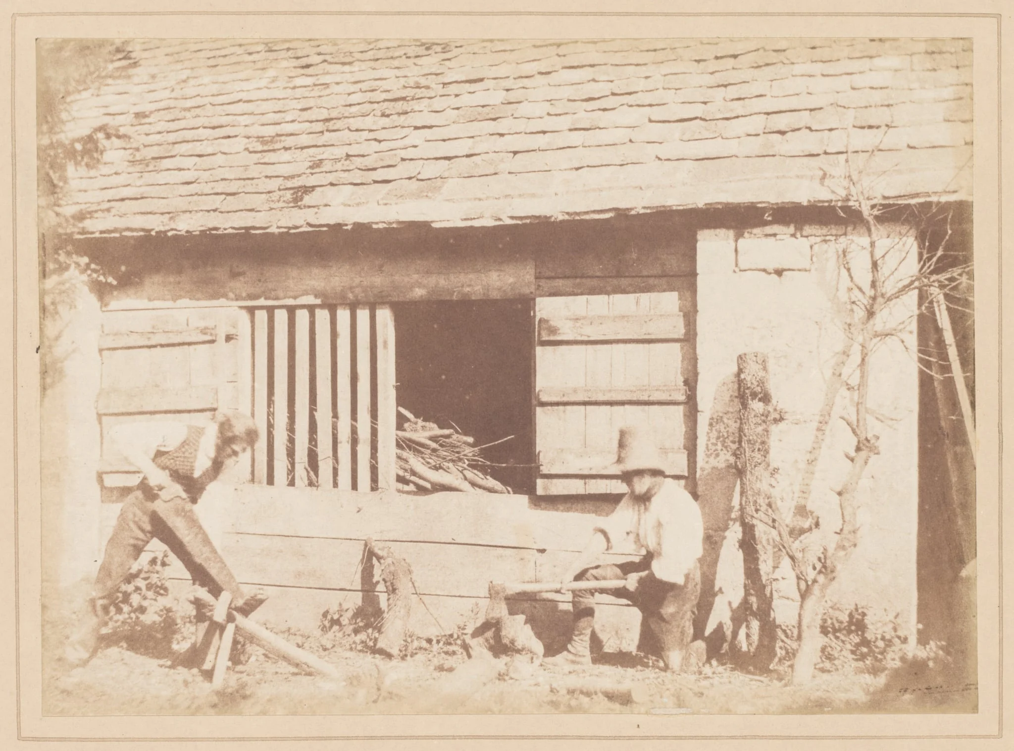 The Woodcutters