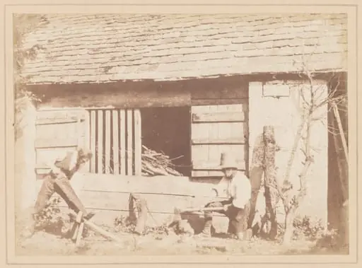 The Woodcutters