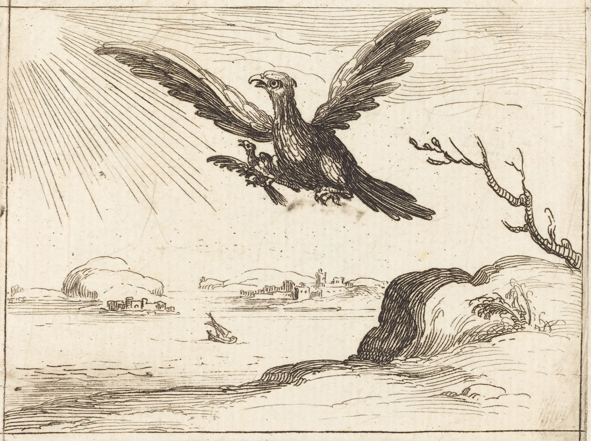 Eagle and Young