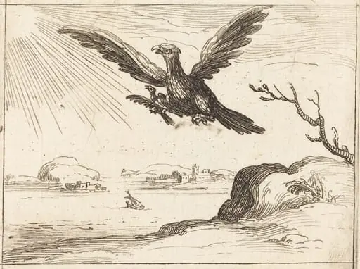 Eagle and Young