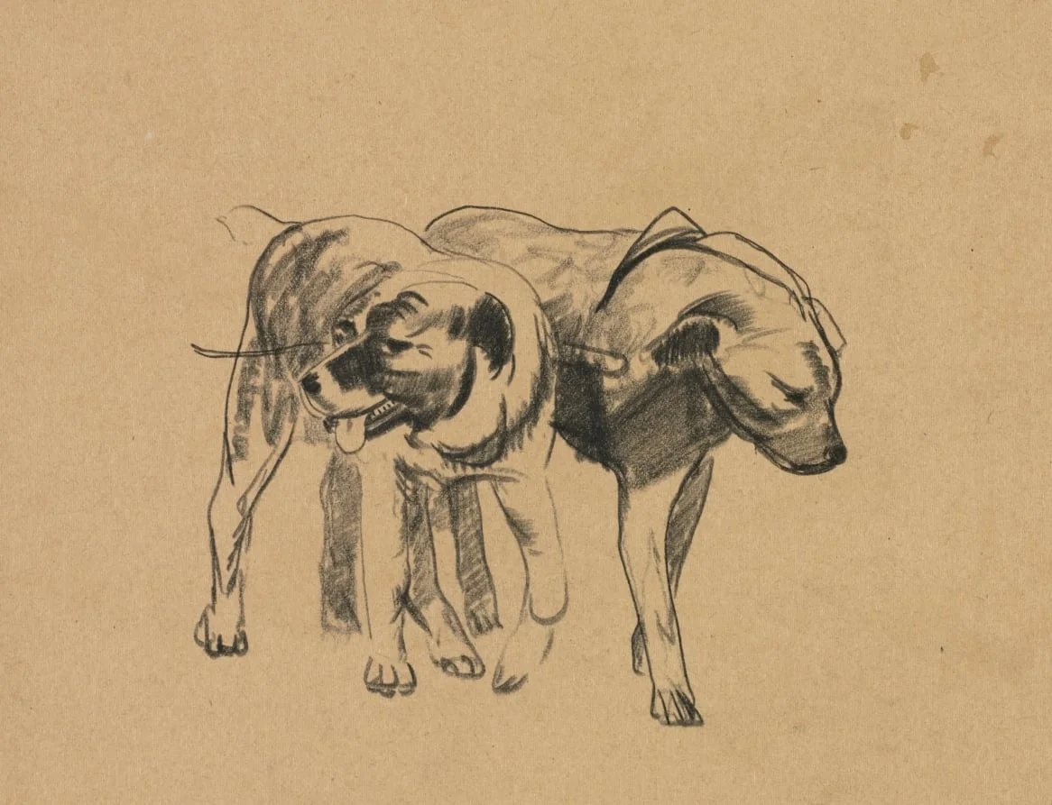 Two Dogs