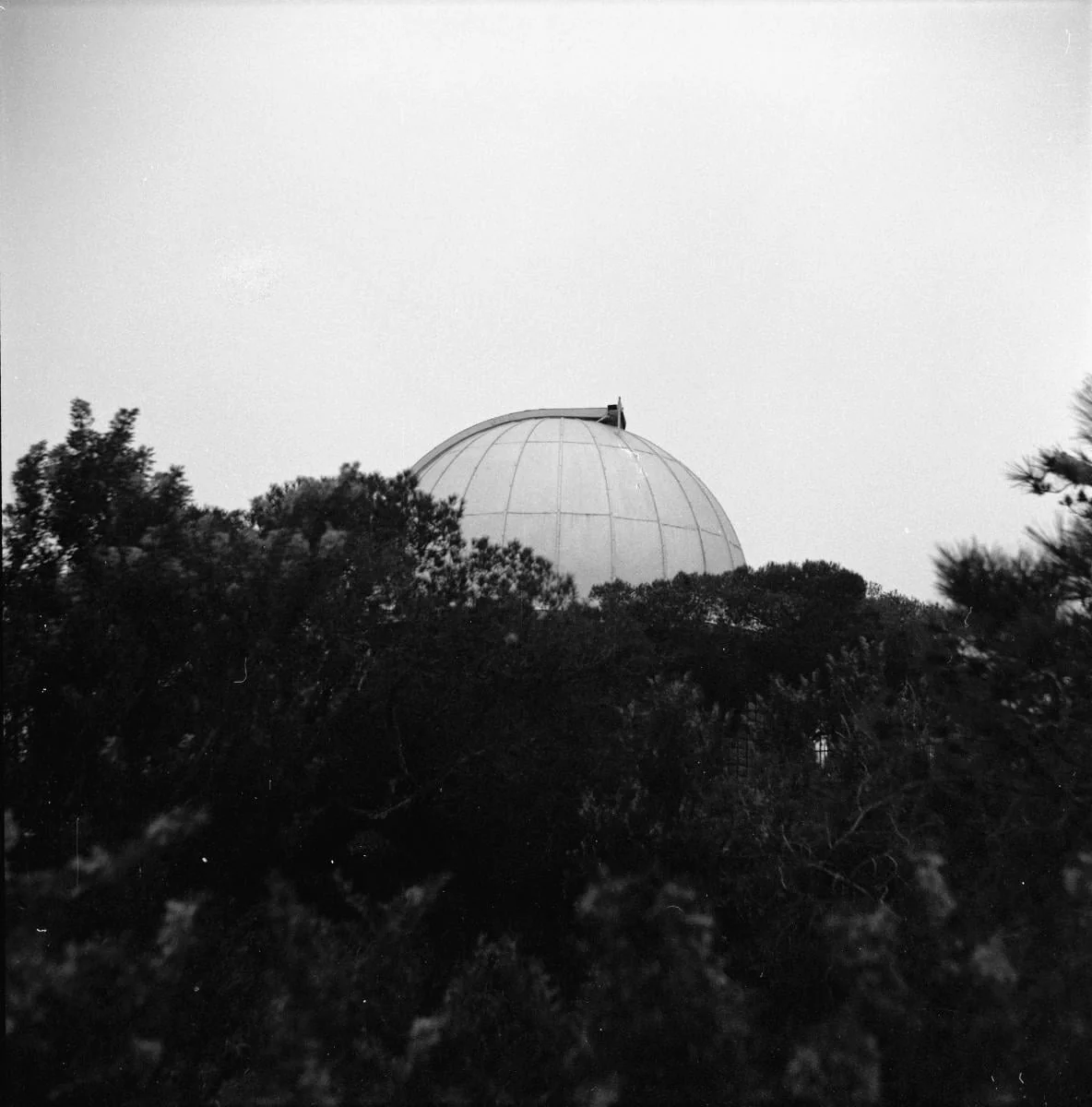 Άτιτλο, by MICHALIS ADAMIS, 2004