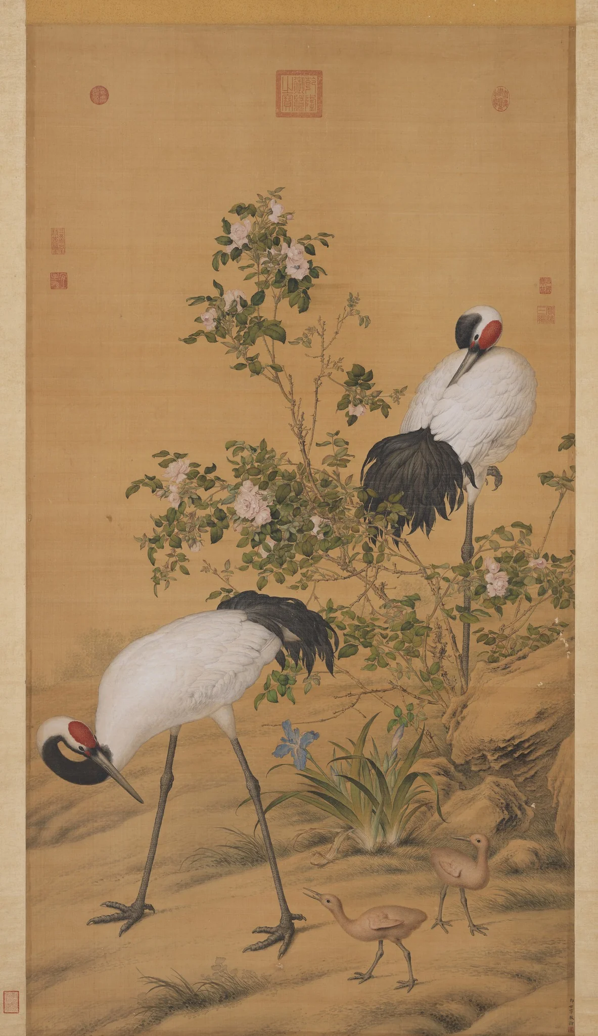 Pair of Cranes in the Shade of Flowers, by Giuseppe Castiglione, unspecified, 1737
