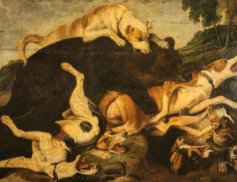 A Bear Hunt
